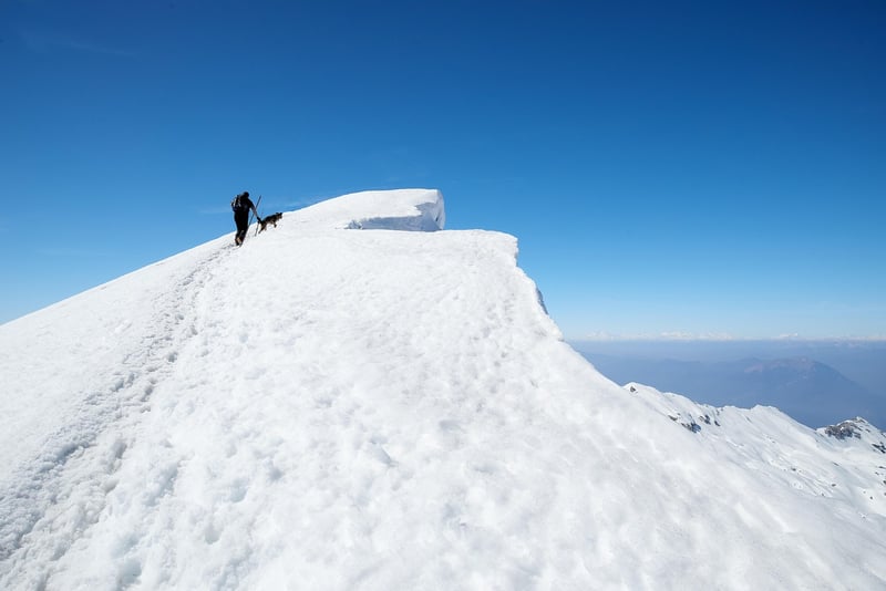 Off-the-Grid Excursions